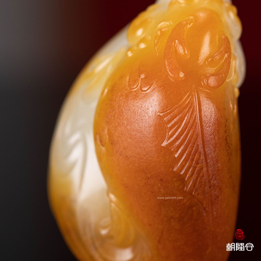 魚(yú)化龍