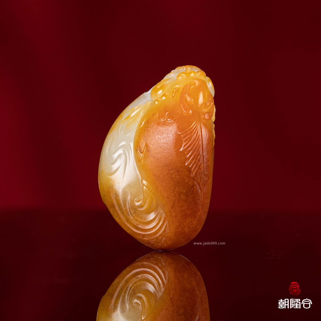 魚(yú)化龍