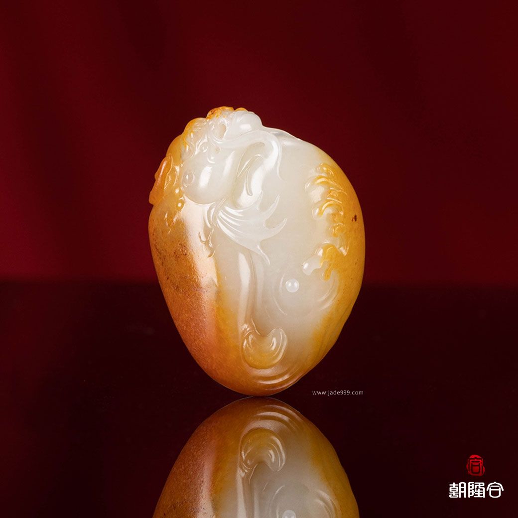 魚(yú)化龍