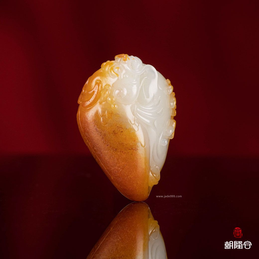 魚(yú)化龍