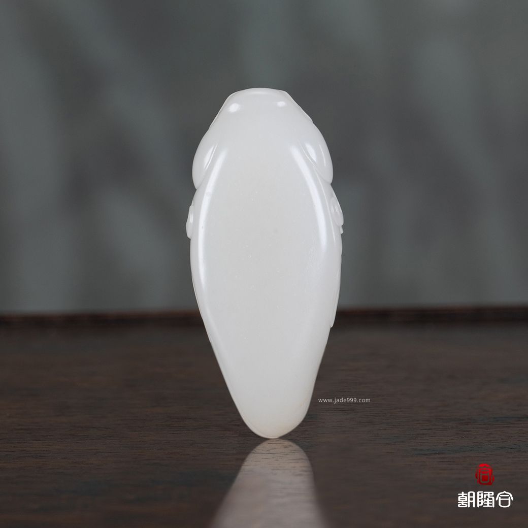 魚(yú)化龍