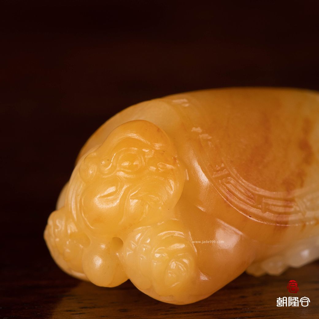 龍龜