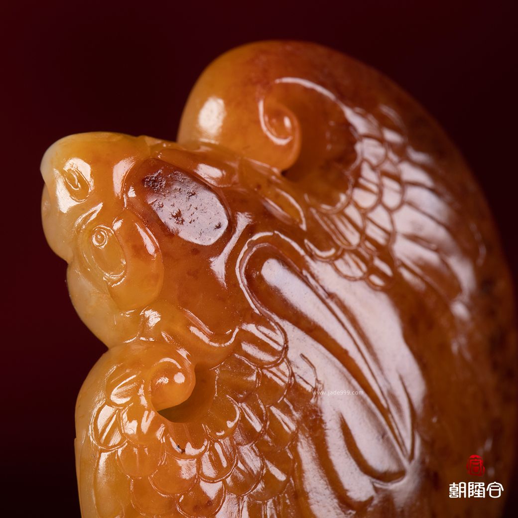 大鵬展翅
