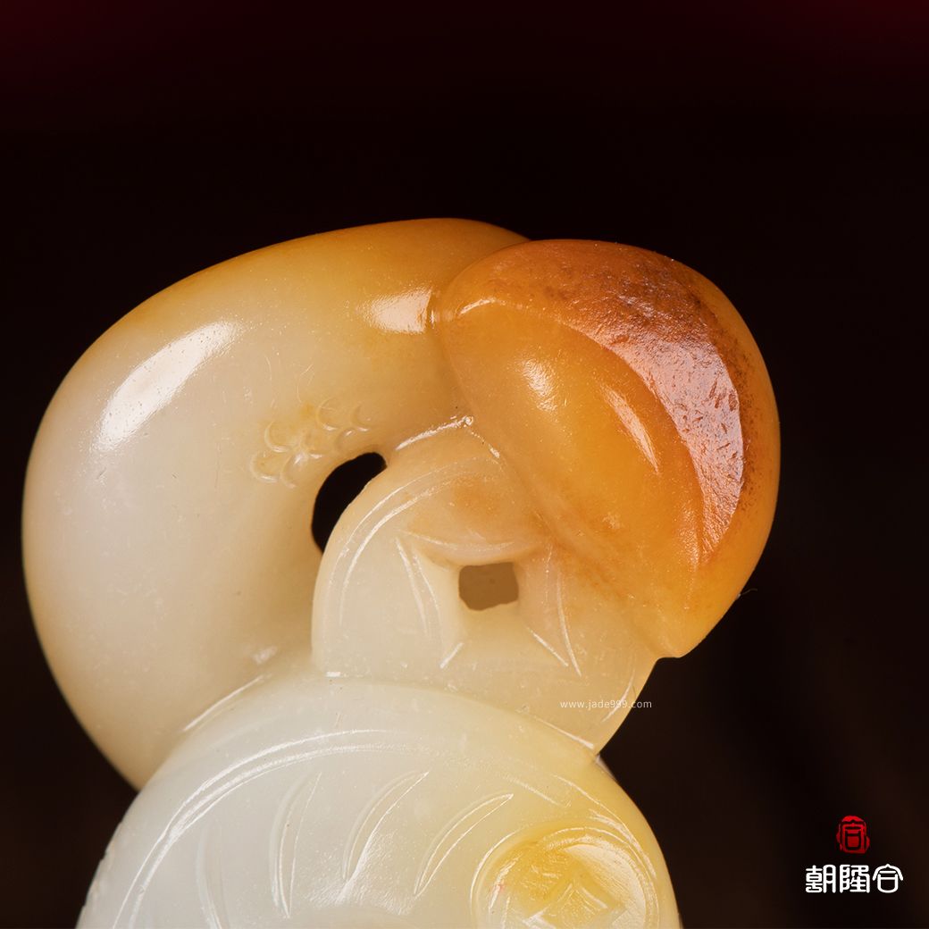金錢(qián)纏身