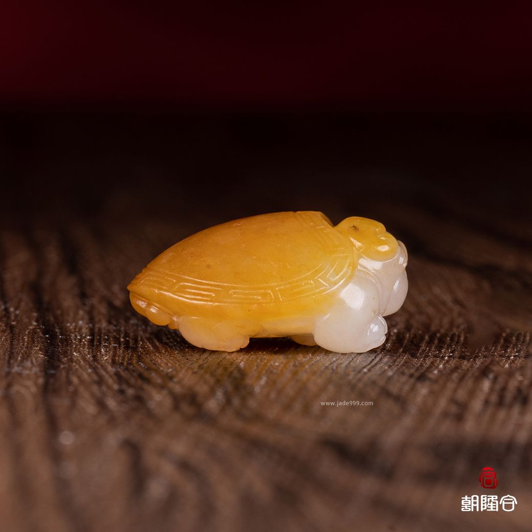 龍龜