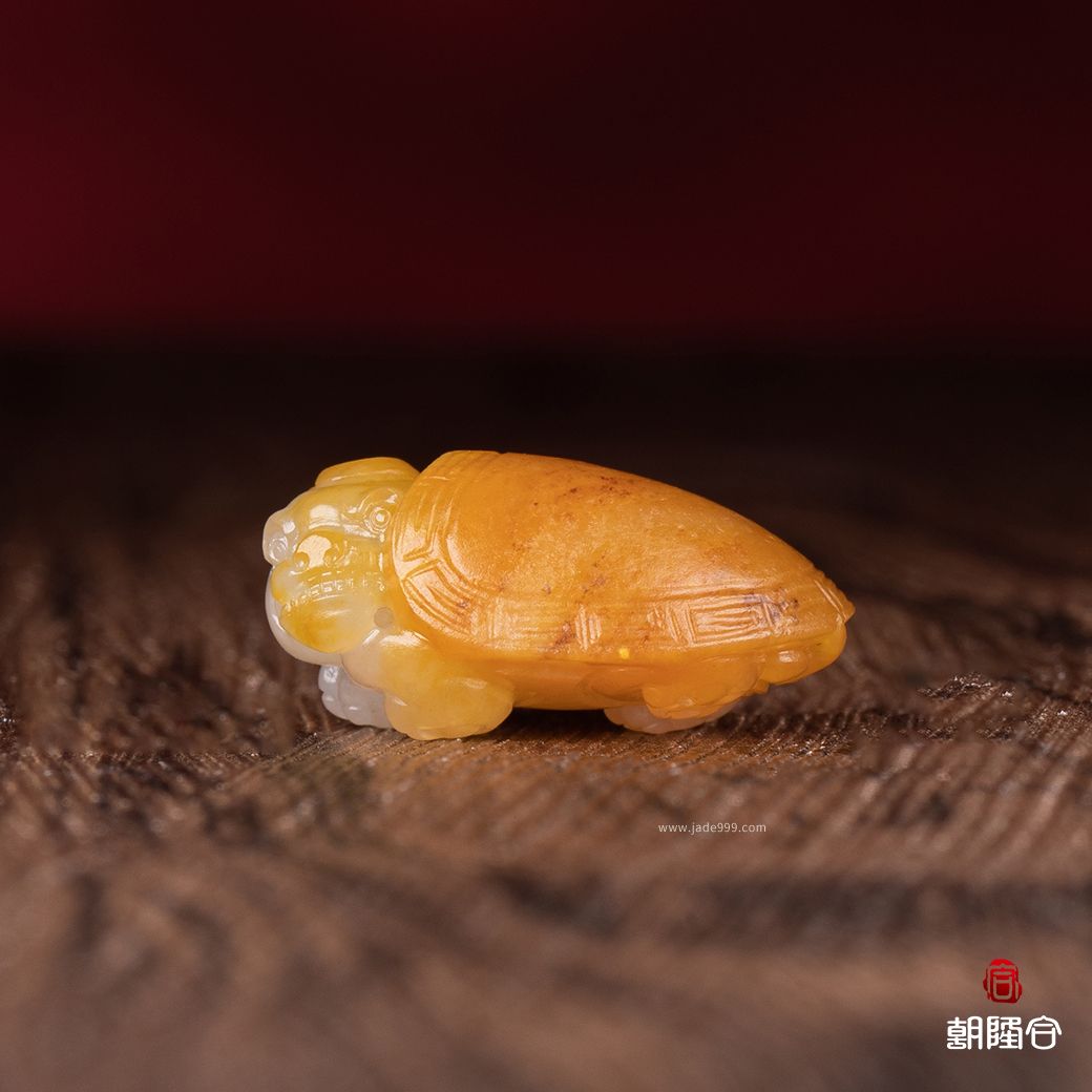 龍龜