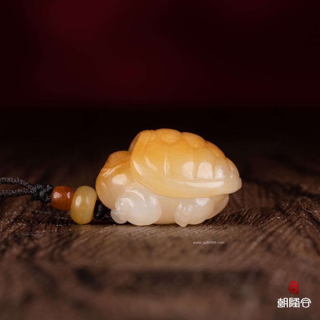 龍龜