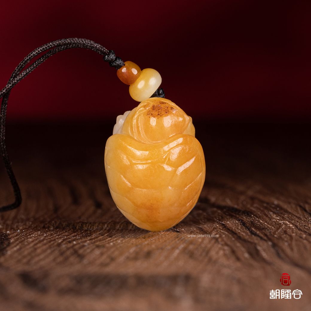 龍龜