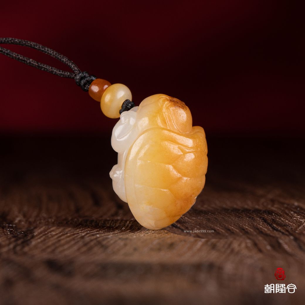 龍龜