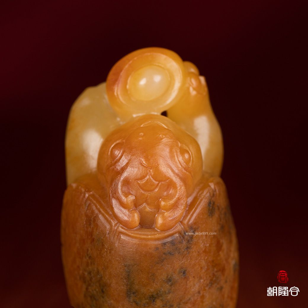 龍龜