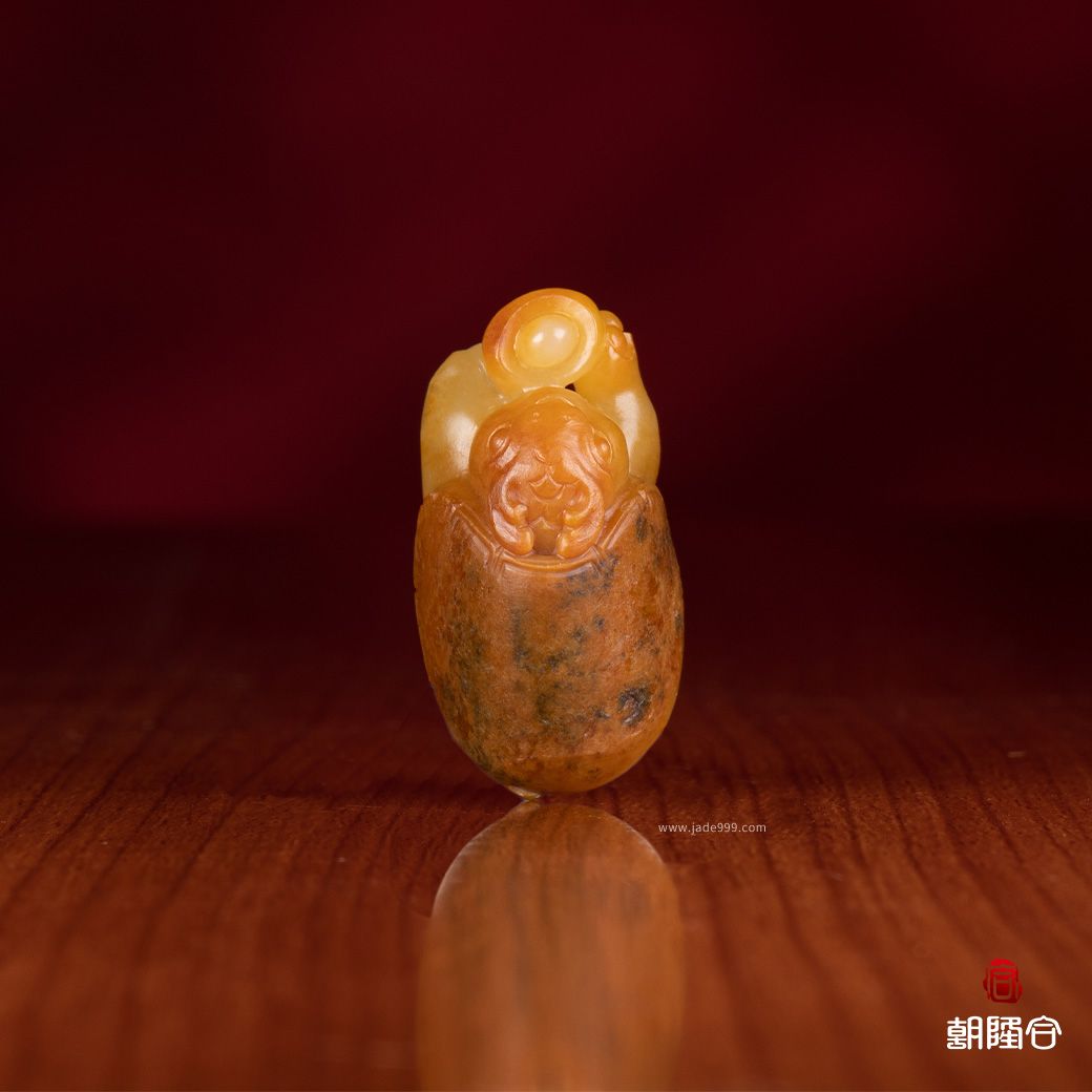 龍龜