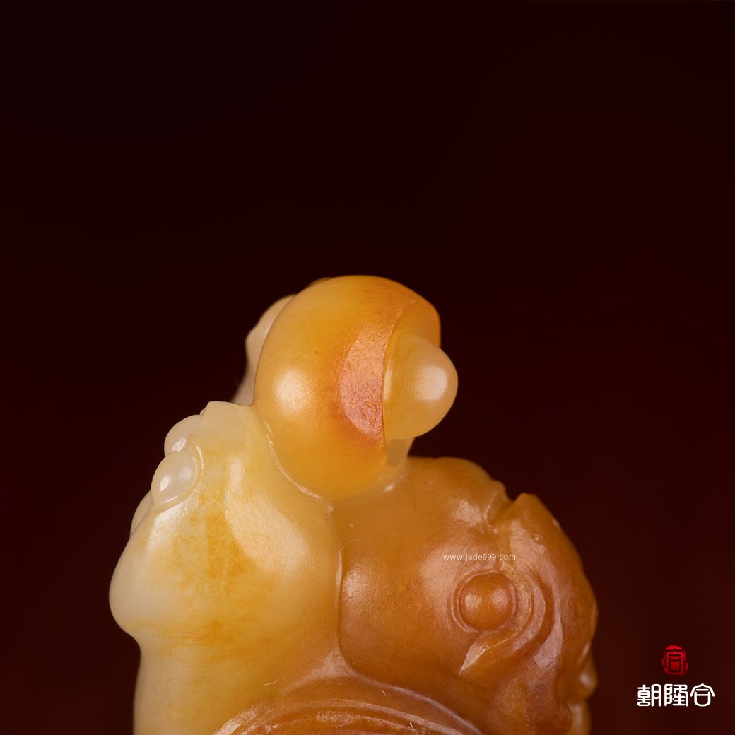 龍龜