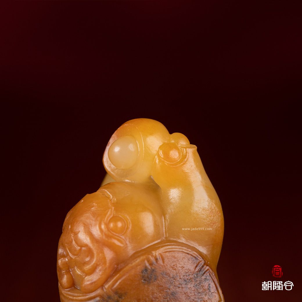 龍龜