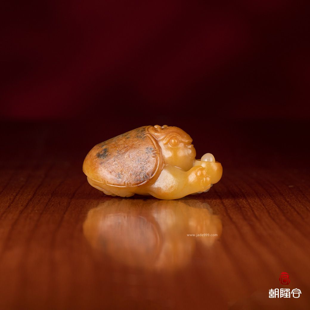 龍龜