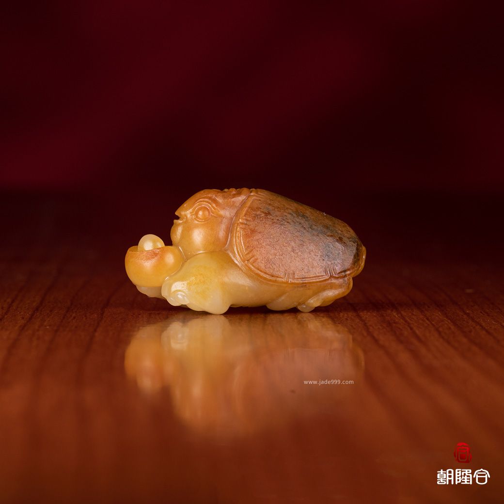 龍龜