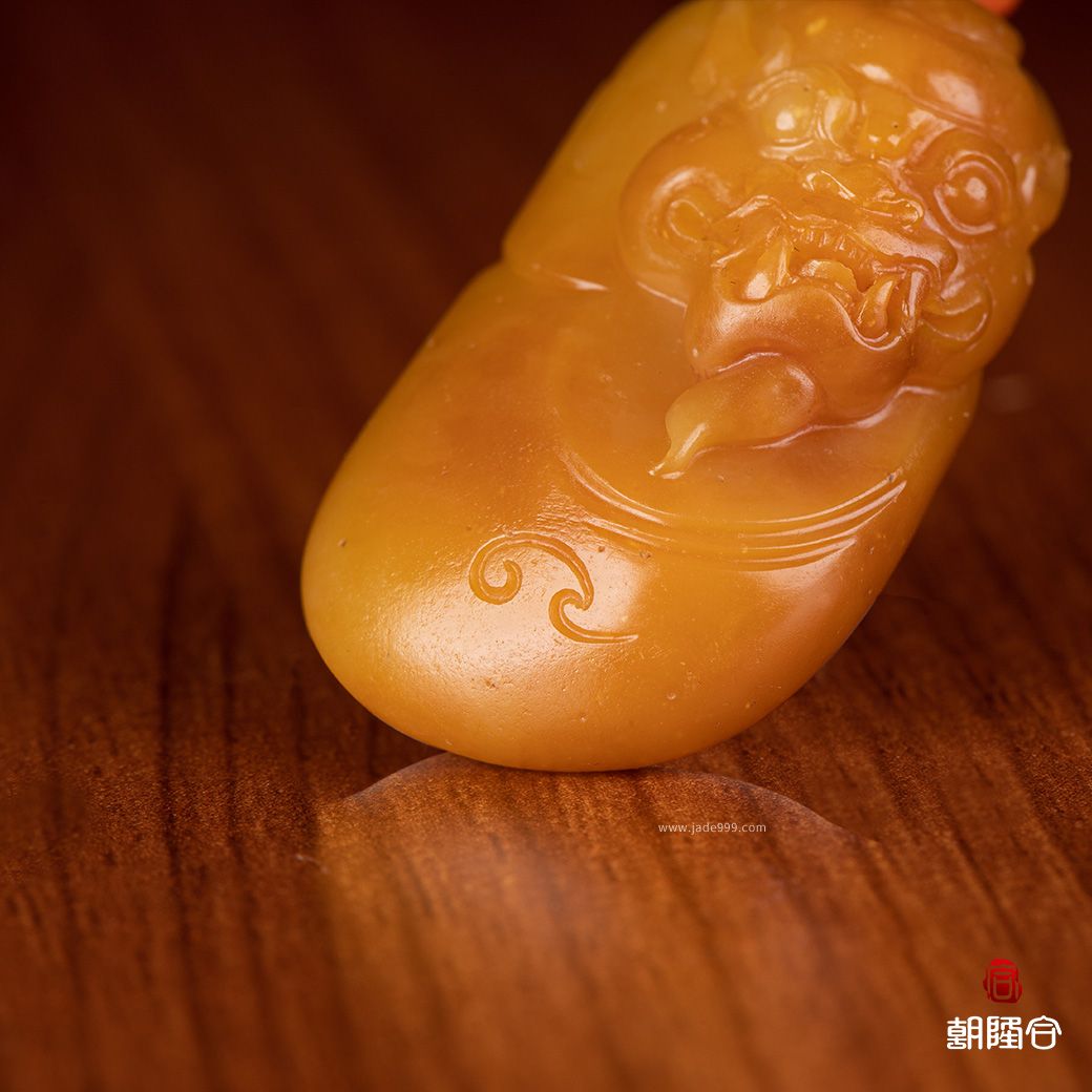 府上有龍