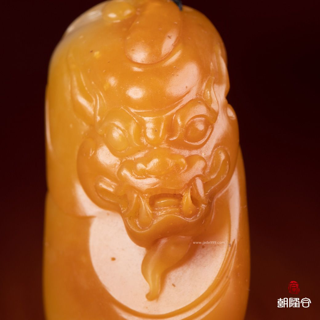 府上有龍